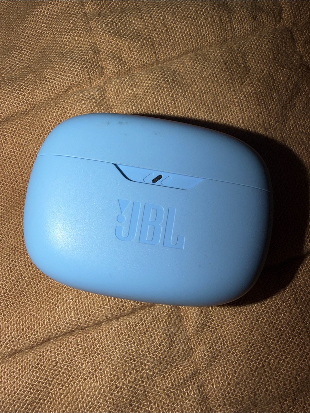 JBL Light Blue True Wireless Earbuds